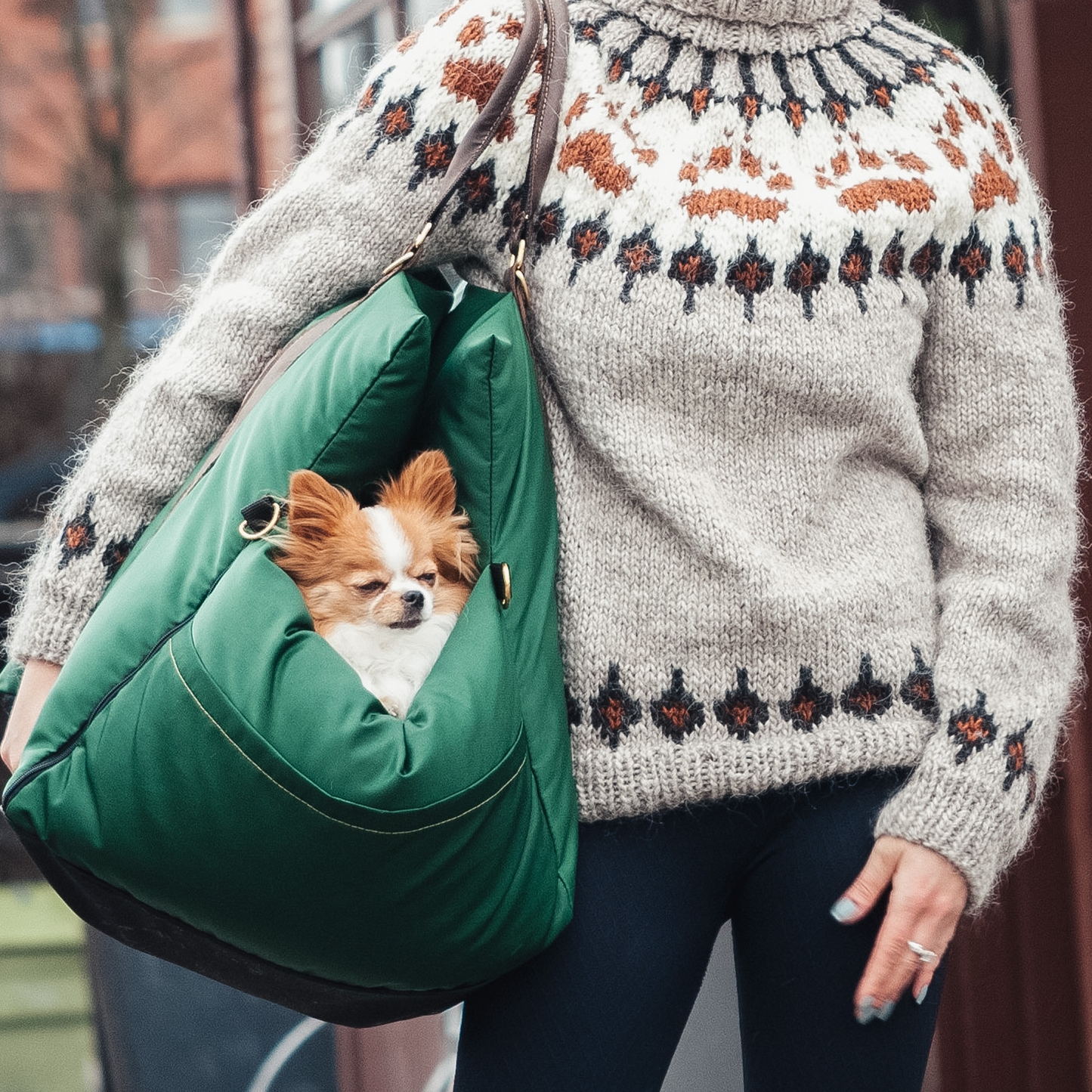 Resesäng för Hund och Katt