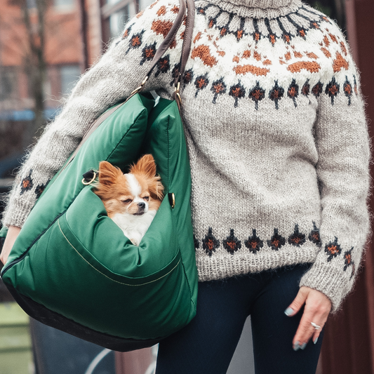 Resesäng för Hund och Katt