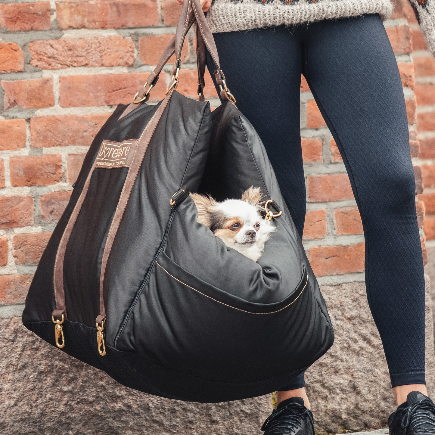 Resesäng för Hund och Katt